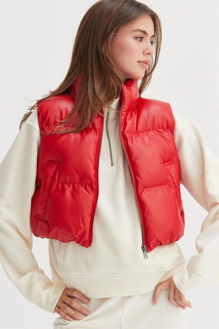 Puffer Vest 1.0