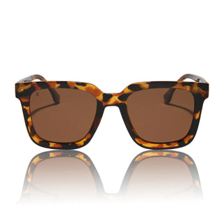 Malibu Tortoise Sunglasses